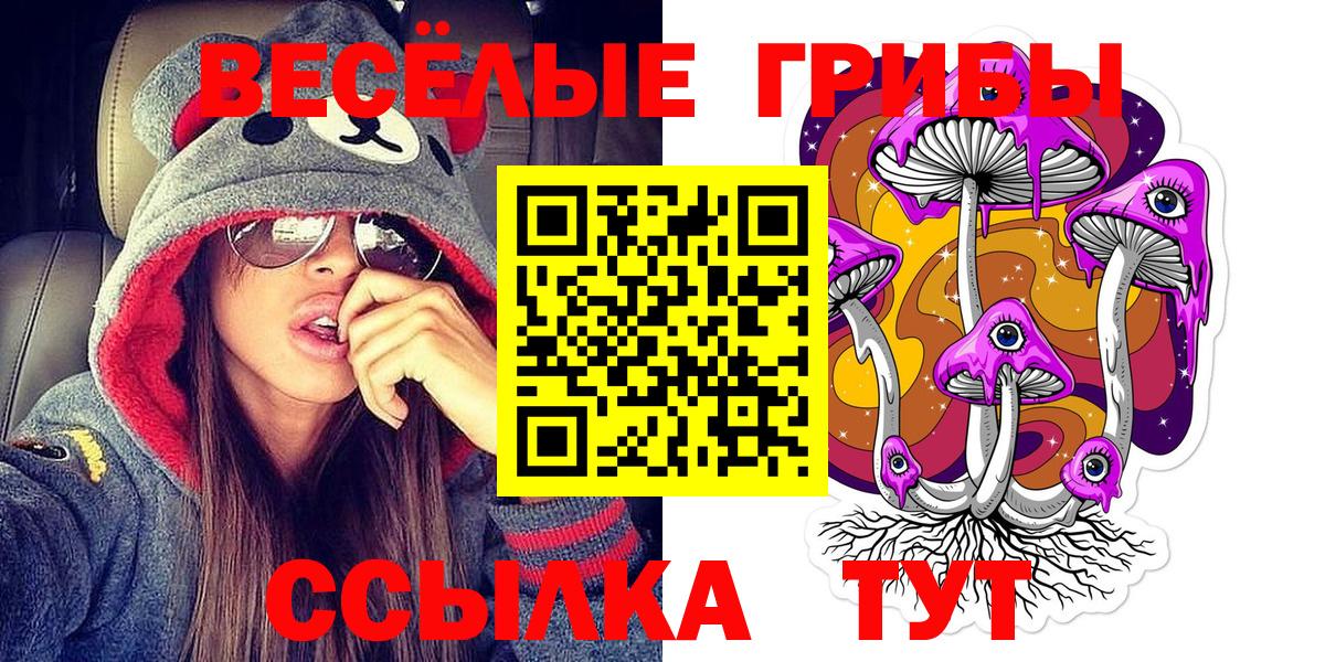 закладка  Вход с VPN  Копейск  Галлюциногенные грибы мицелий 